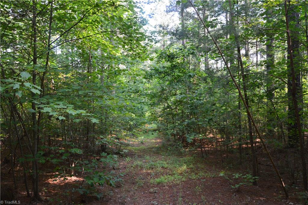 0 Ralph E Road Reidsville, NC 27320 - Photo 21 of 24