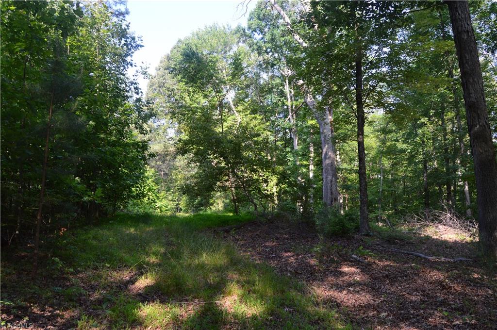 0 Ralph E Road Reidsville, NC 27320 - Photo 22 of 24