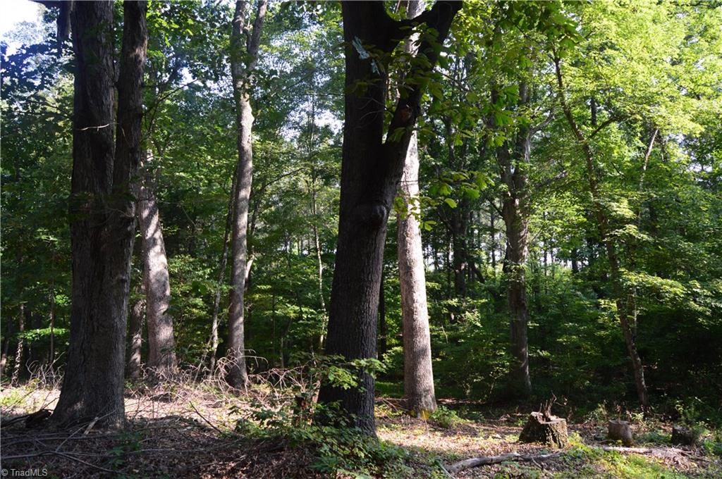 0 Ralph E Road Reidsville, NC 27320 - Photo 23 of 24