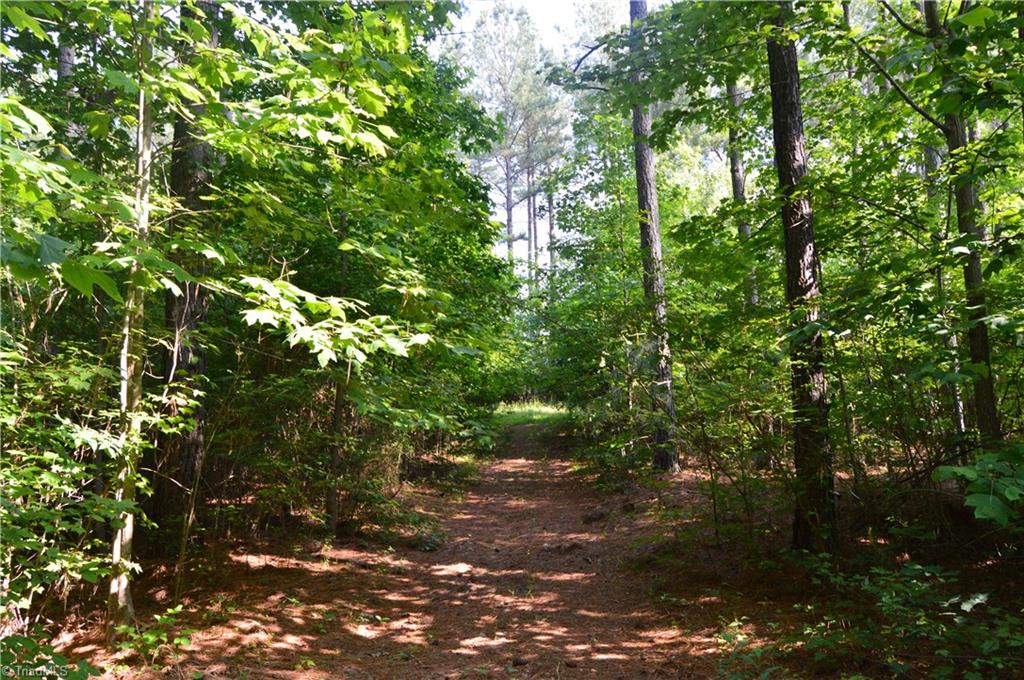 0 Ralph E Road Reidsville, NC 27320 - Photo 24 of 24