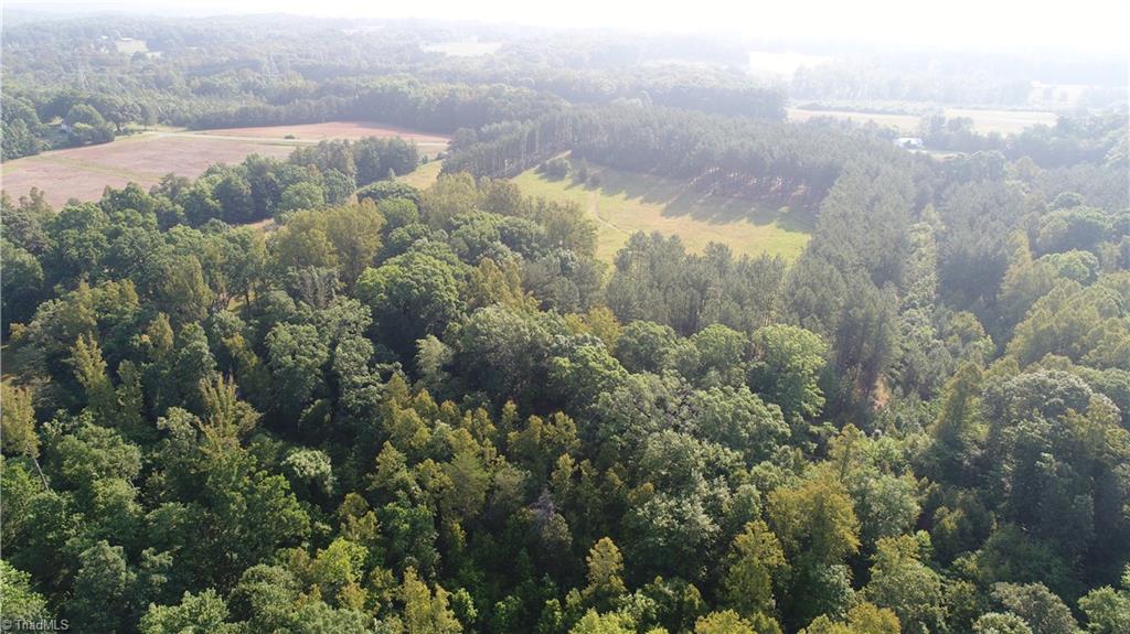 0 Ralph E Road Reidsville, NC 27320 - Photo 5 of 24