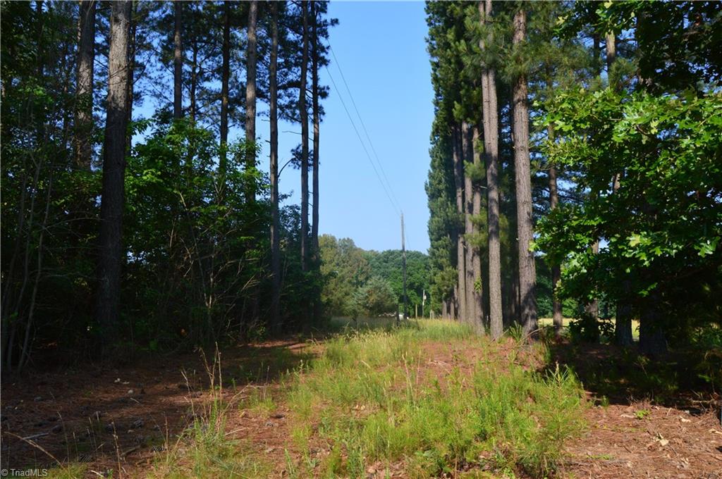 0 Ralph E Road Reidsville, NC 27320 - Photo 6 of 24