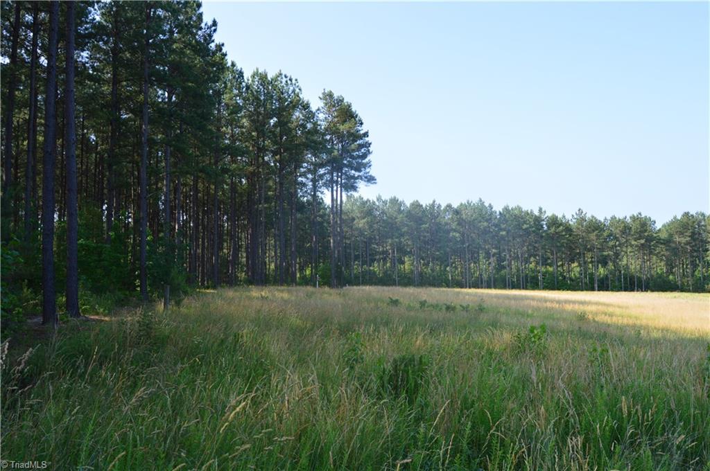 0 Ralph E Road Reidsville, NC 27320 - Photo 9 of 24