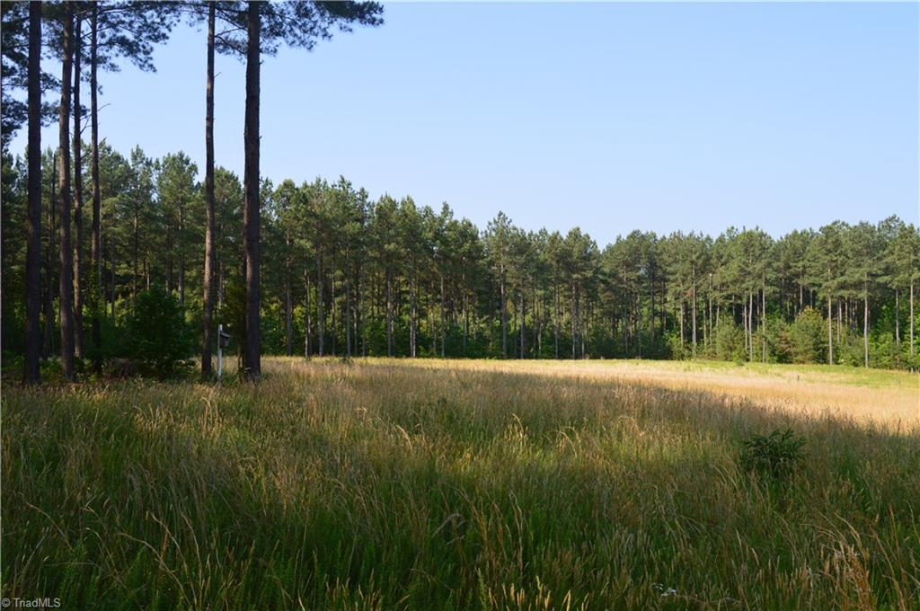 0 Ralph E Road Reidsville, NC 27320 - Photo 10 of 24