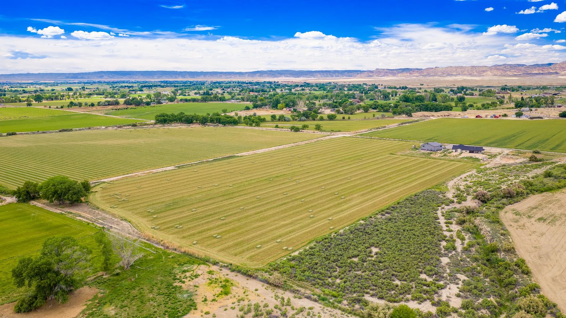 1063 24 Road Grand Junction, CO 81505 - Photo 3 of 14 Gallery Image 3