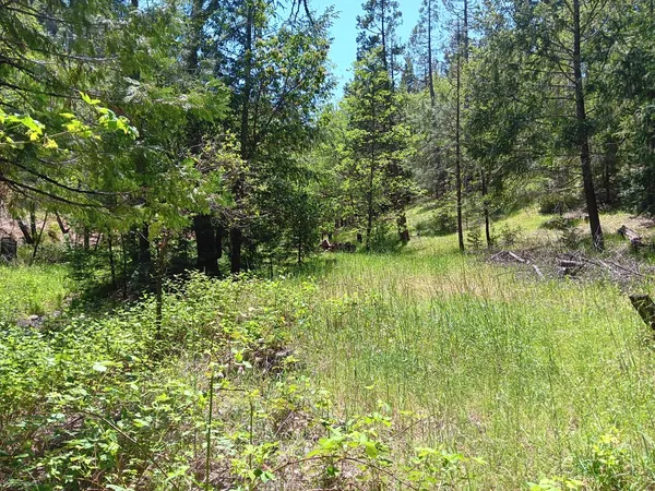 a view of yard with green space