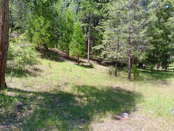 a view of yard with green space