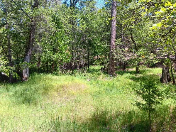 a view of outdoor space and green space