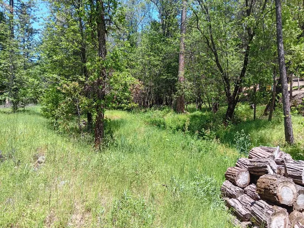 a garden view with a lake view