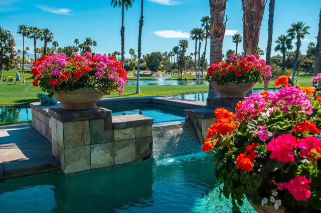a front view of a house with yard