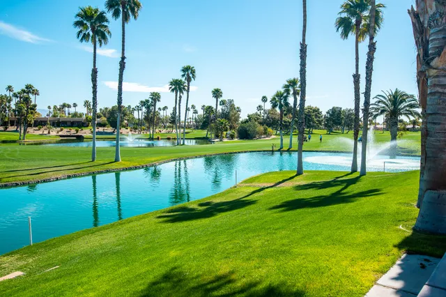 a view of a park with palm trees