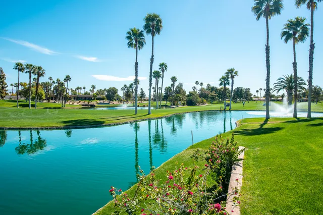a view of a lake with a big yard and palm trees