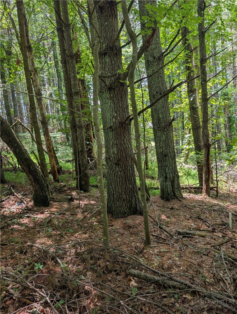 Doell Lane, Unit 20 Sparta, NC 28675 - Photo 8 of 18