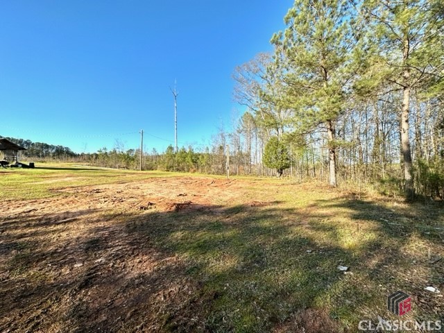 1 Dora Bush Hill Road McRae-Helena, GA 31037 - Photo 22 of 32