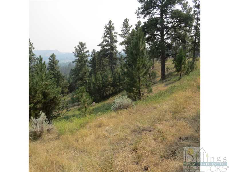 0 Bruner Mountain Road Roundup, MT 59072 - Photo 1 of 1 Gallery Image 1