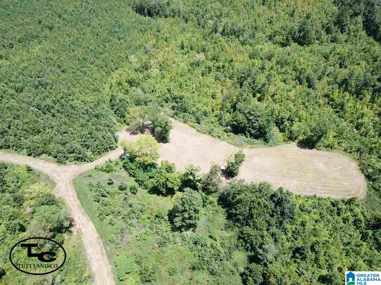 43 Highway, Unit CALVARY Demopolis, AL 36732 - Photo 4 of 9