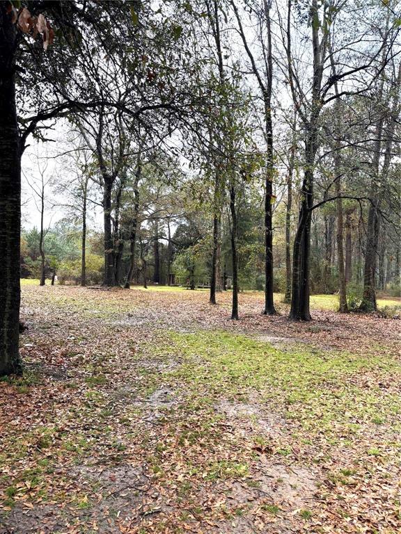 120 Bessie Crow Road Coushatta, LA 71019 - Photo 12 of 12