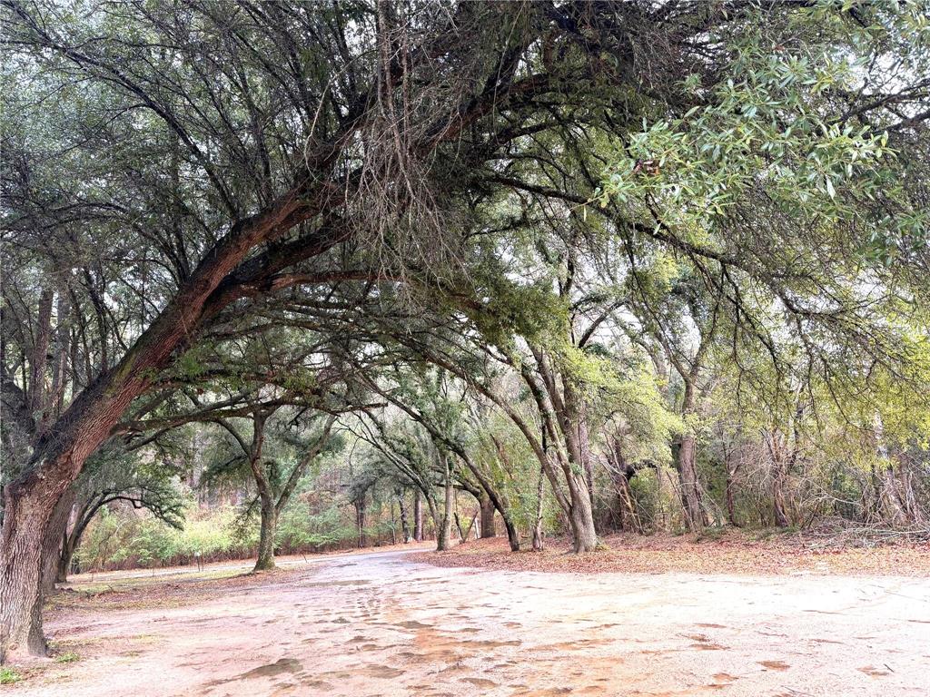 120 Bessie Crow Road Coushatta, LA 71019 - Photo 5 of 12