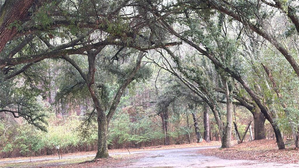 120 Bessie Crow Road Coushatta, LA 71019 - Photo 6 of 12