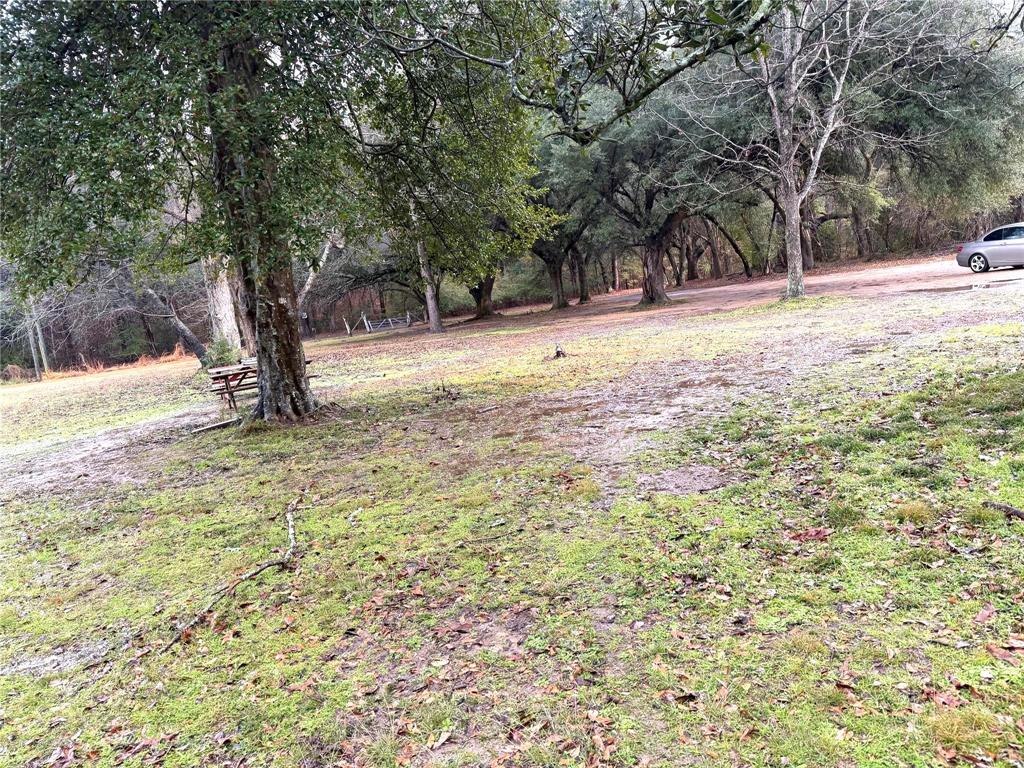 120 Bessie Crow Road Coushatta, LA 71019 - Photo 8 of 12