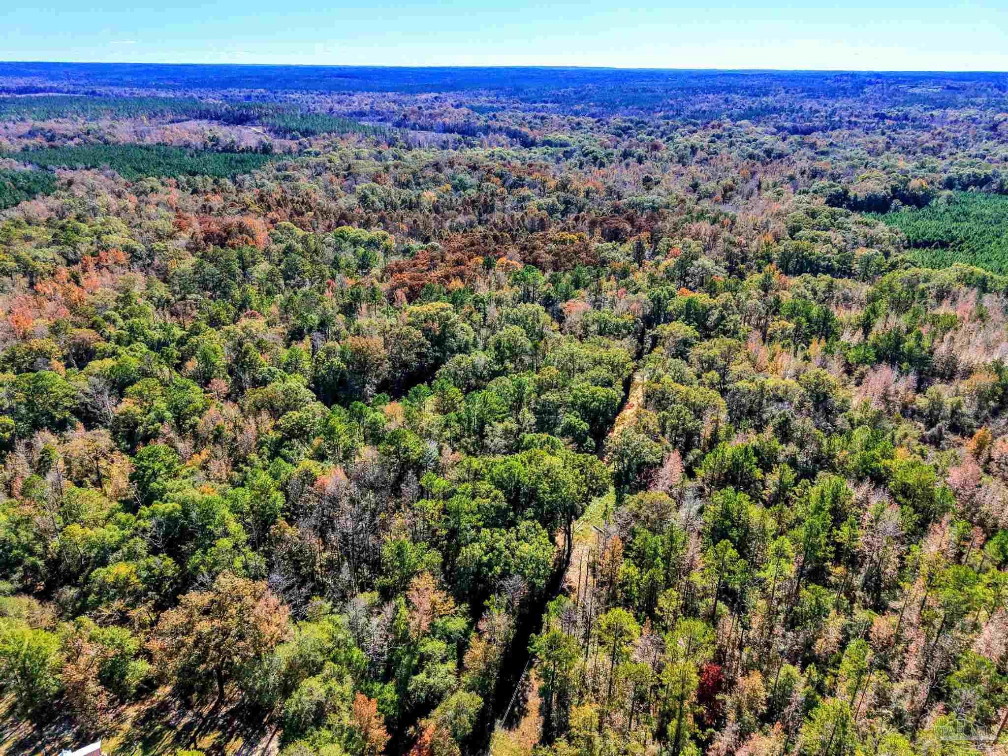 1700 Prospect Road Coffeeville, AL 36524 - Photo 45 of 71