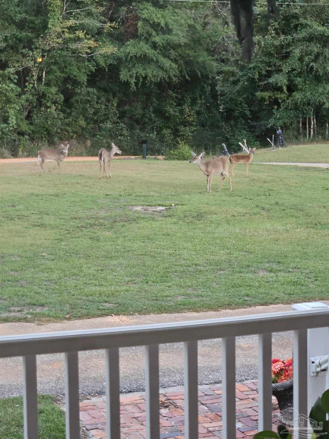 1700 Prospect Road Coffeeville, AL 36524 - Photo 65 of 71