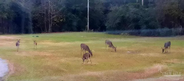 $339,000 | 1700 Prospect Road, Coffeeville, AL 36524