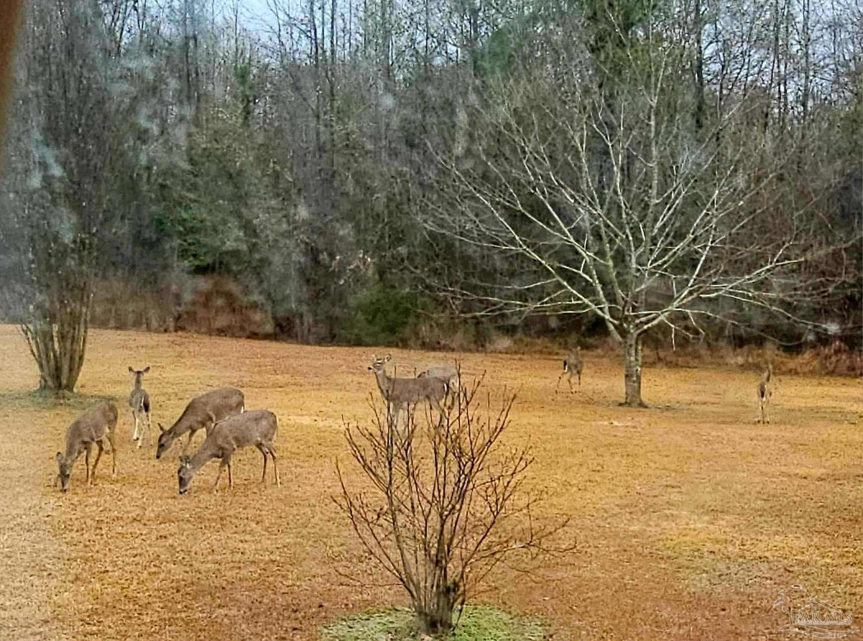 1700 Prospect Road Coffeeville, AL 36524 - Photo 67 of 71