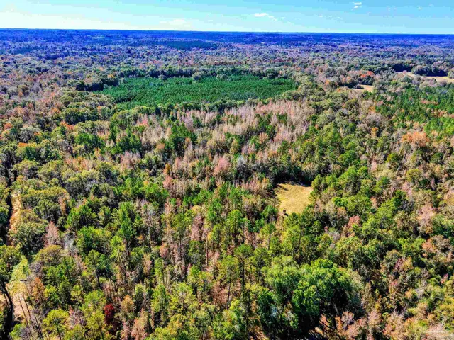 $339,000 | 1700 Prospect Road, Coffeeville, AL 36524