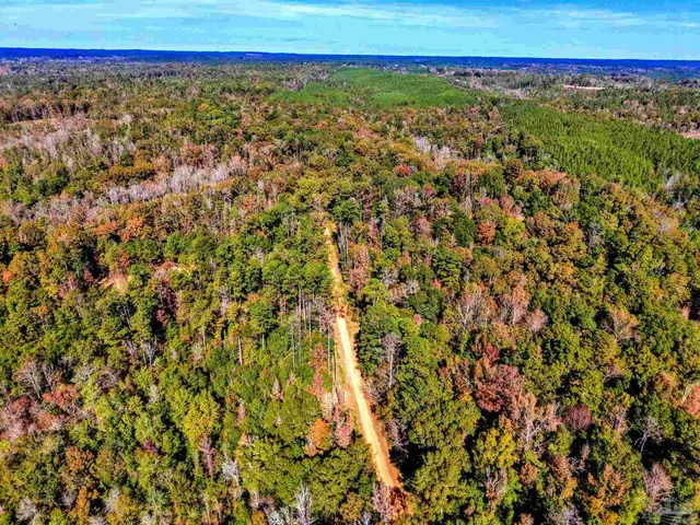 $339,000 | 1700 Prospect Road, Coffeeville, AL 36524