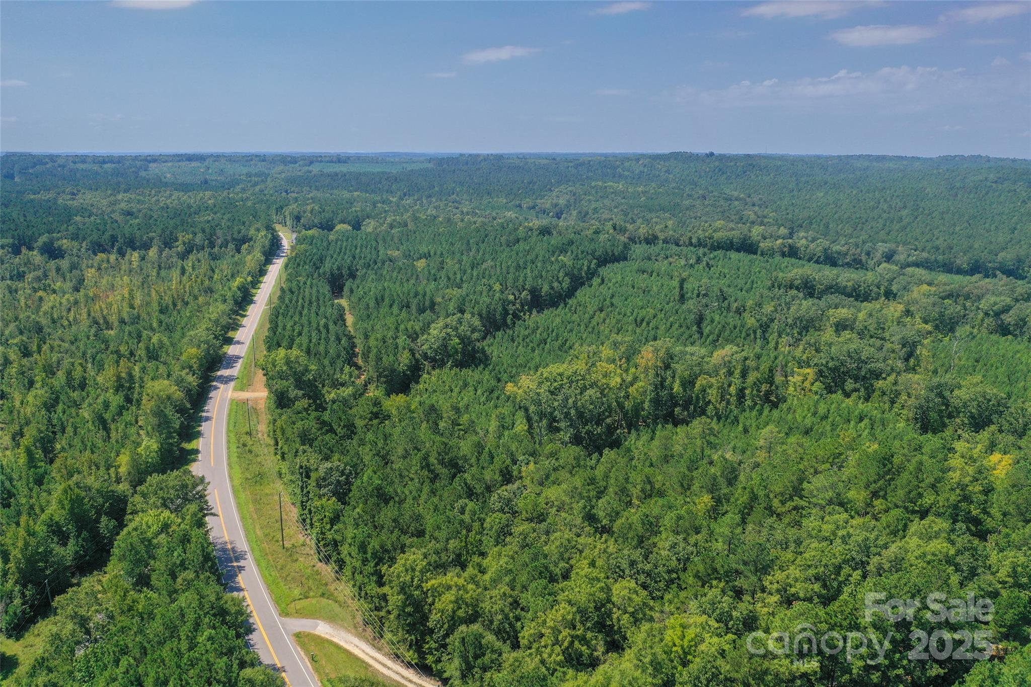 0 Old Windmill Road Ridgeway, SC 29130 - Photo 1 of 46