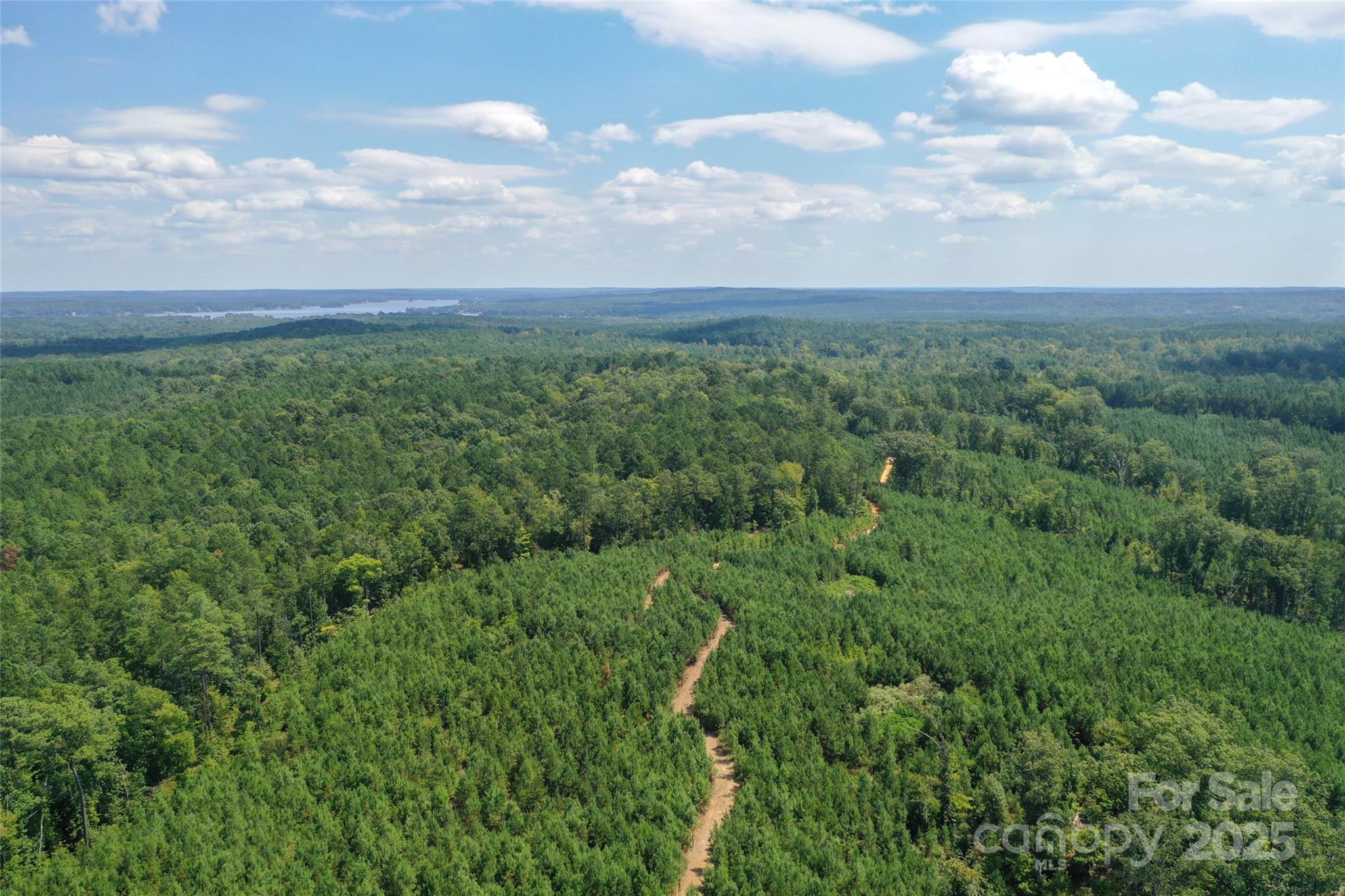 0 Old Windmill Road Ridgeway, SC 29130 - Photo 11 of 46