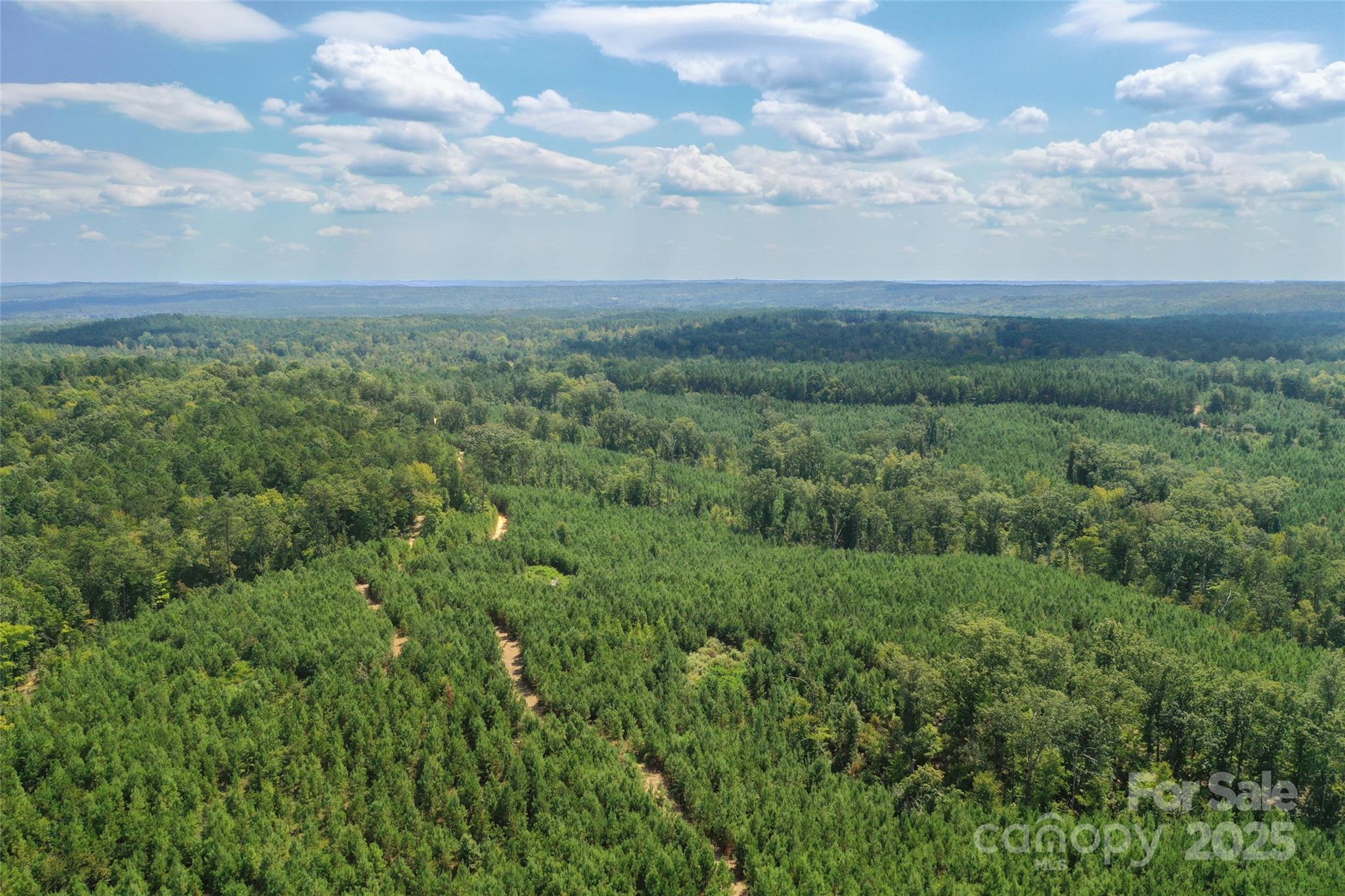 0 Old Windmill Road Ridgeway, SC 29130 - Photo 12 of 46