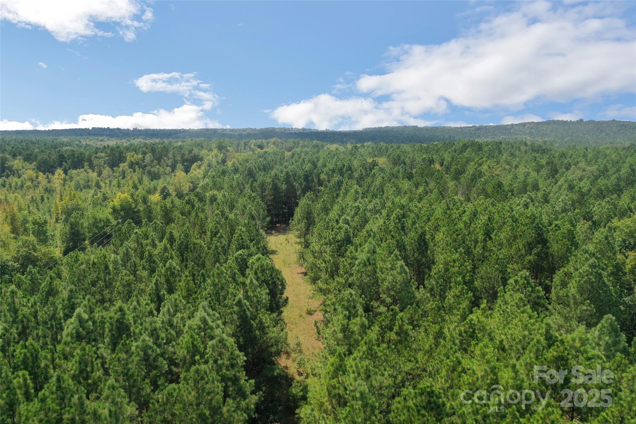 0 Old Windmill Road Ridgeway, SC 29130 - Photo 13 of 46