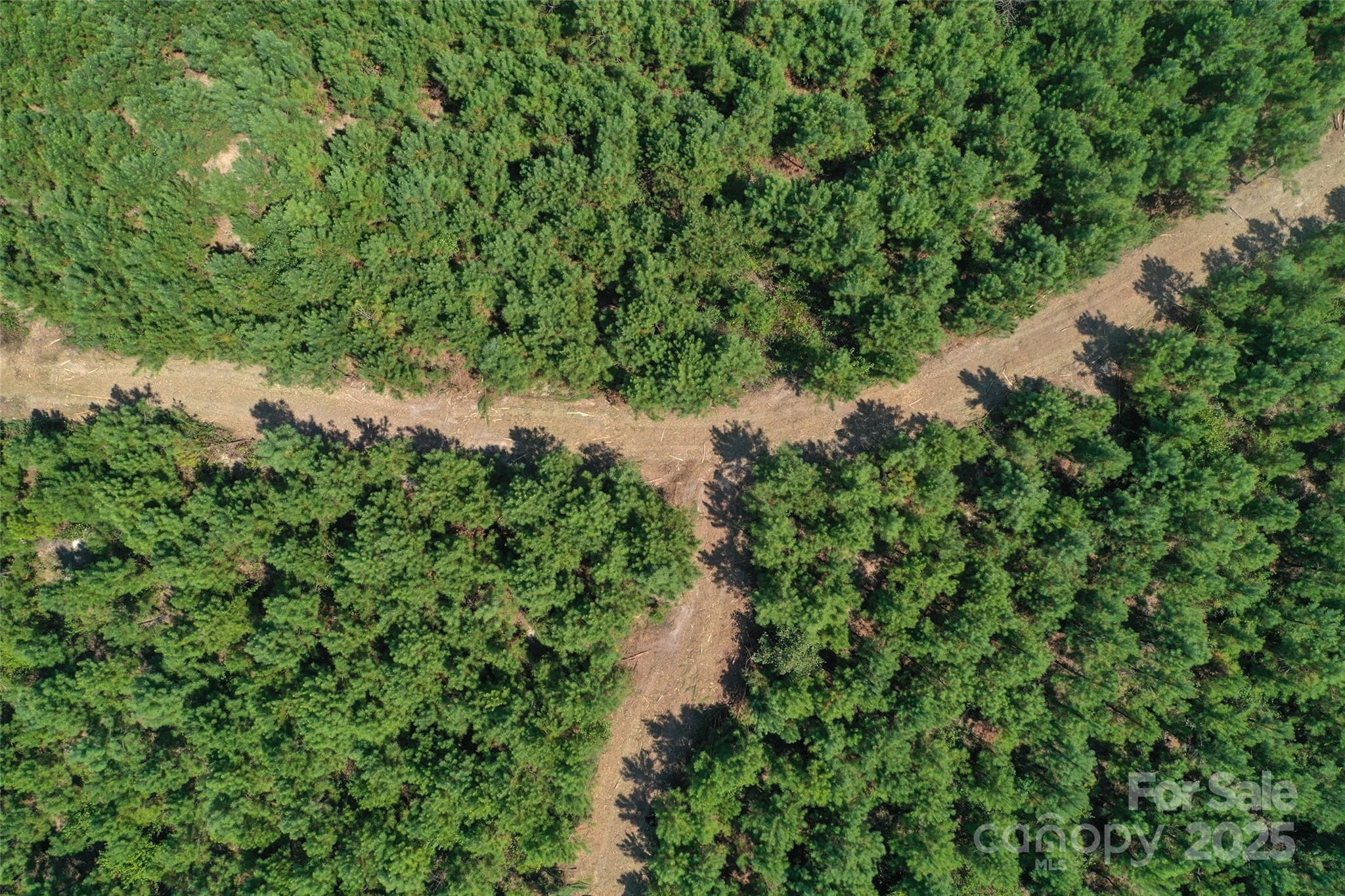 0 Old Windmill Road Ridgeway, SC 29130 - Photo 16 of 46