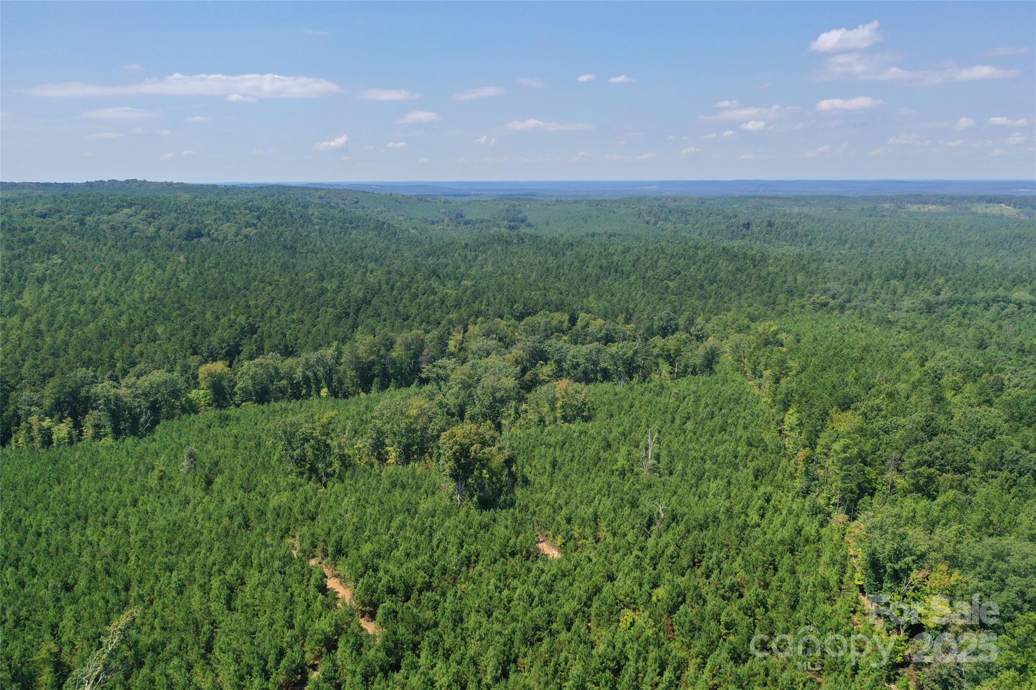 0 Old Windmill Road Ridgeway, SC 29130 - Photo 17 of 46