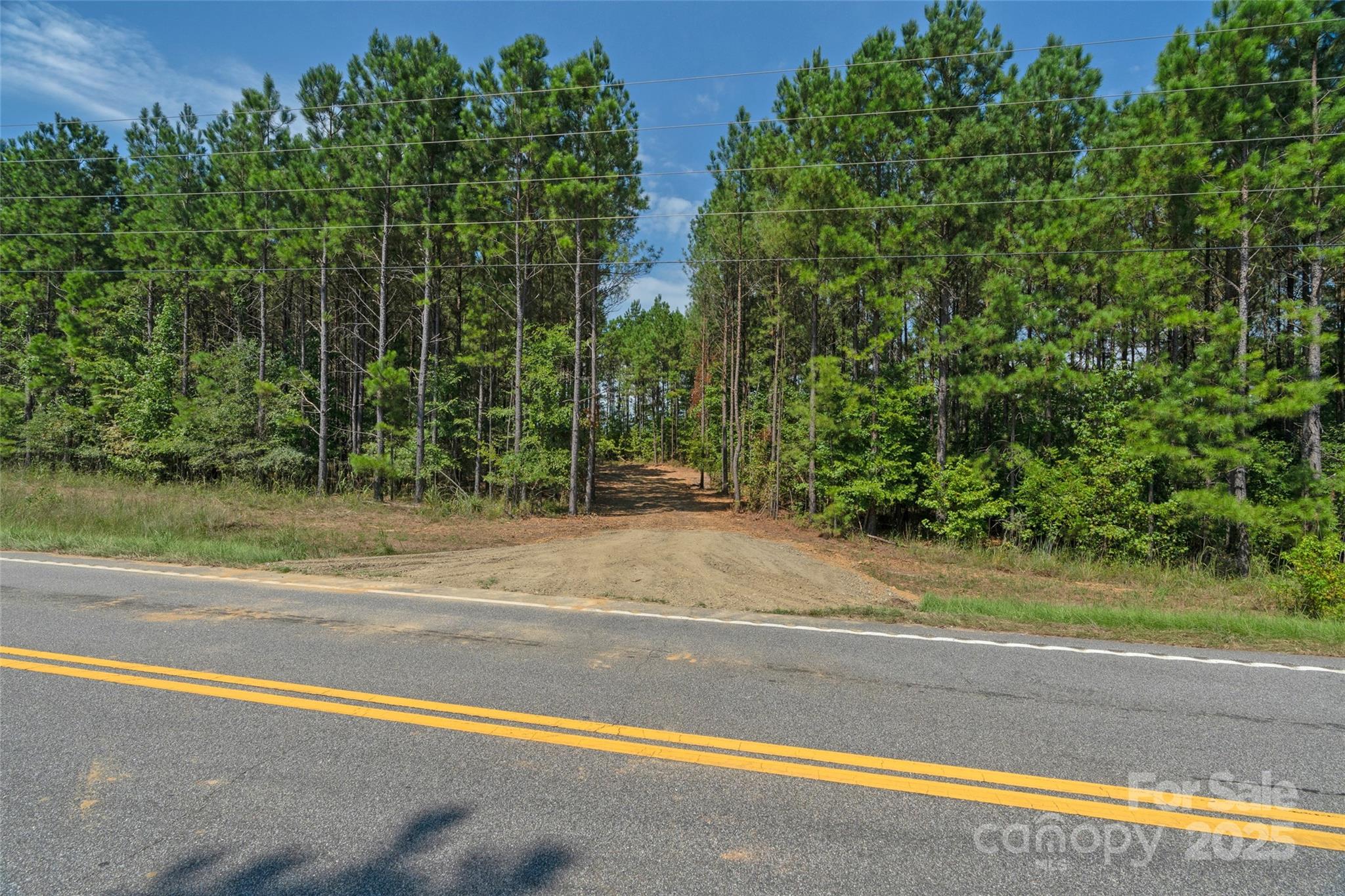 0 Old Windmill Road Ridgeway, SC 29130 - Photo 18 of 46