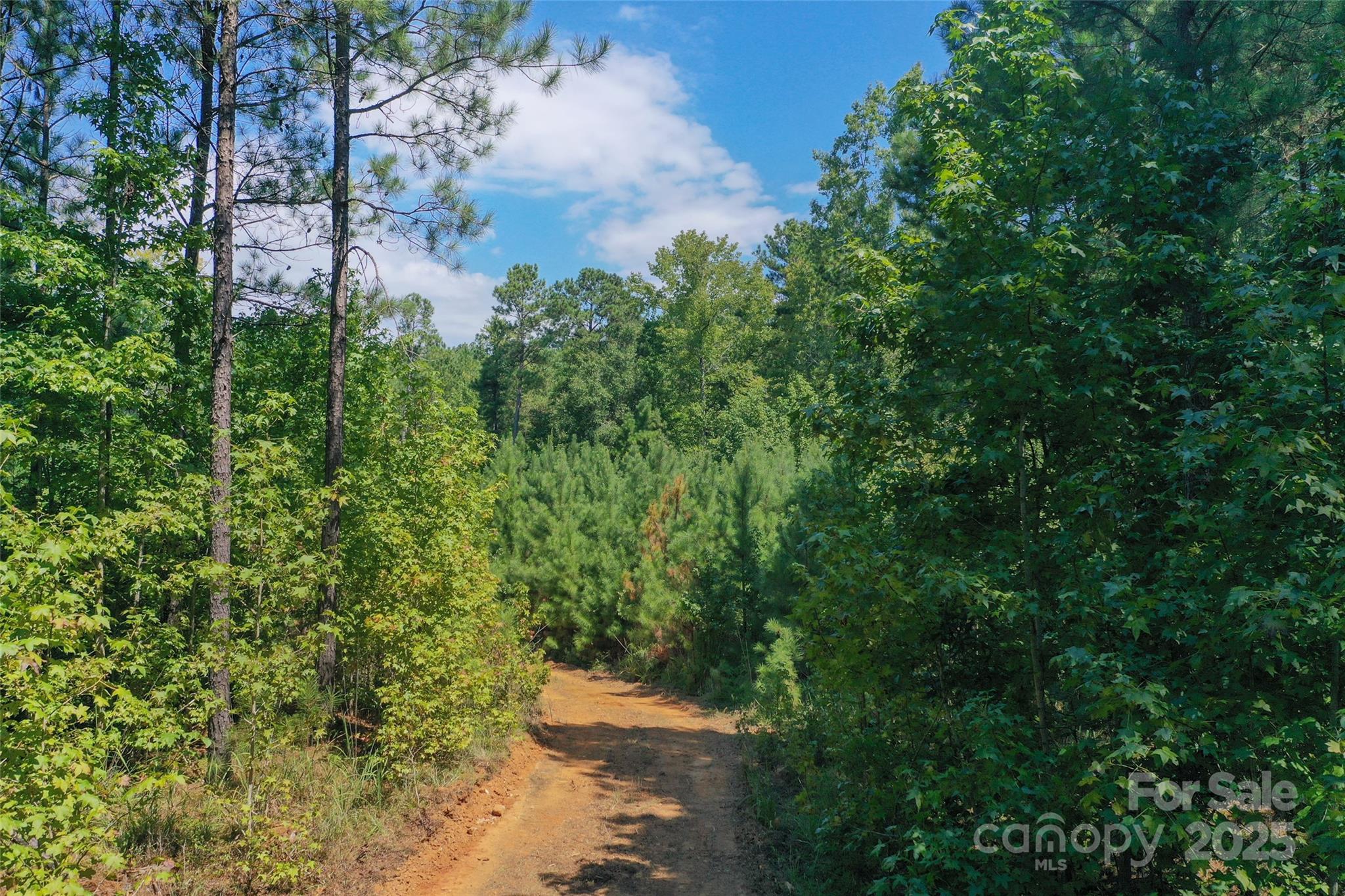 0 Old Windmill Road Ridgeway, SC 29130 - Photo 20 of 46