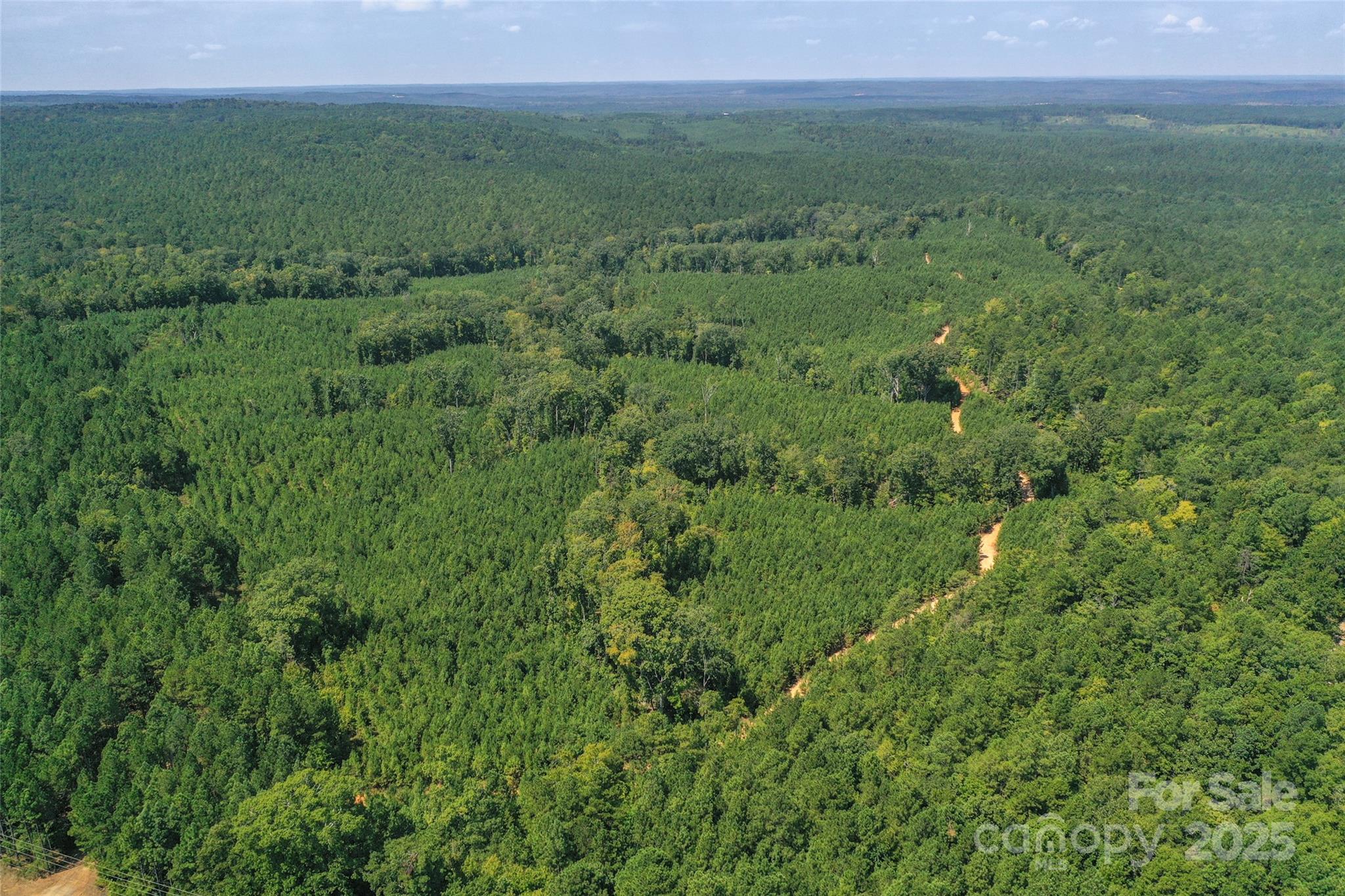 0 Old Windmill Road Ridgeway, SC 29130 - Photo 2 of 46