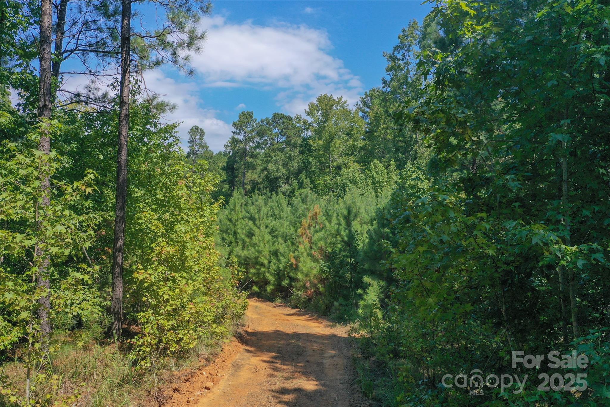 0 Old Windmill Road Ridgeway, SC 29130 - Photo 21 of 46