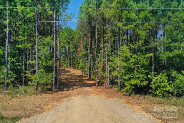 $685,000 | 0 Old Windmill Road, Ridgeway, SC 29130