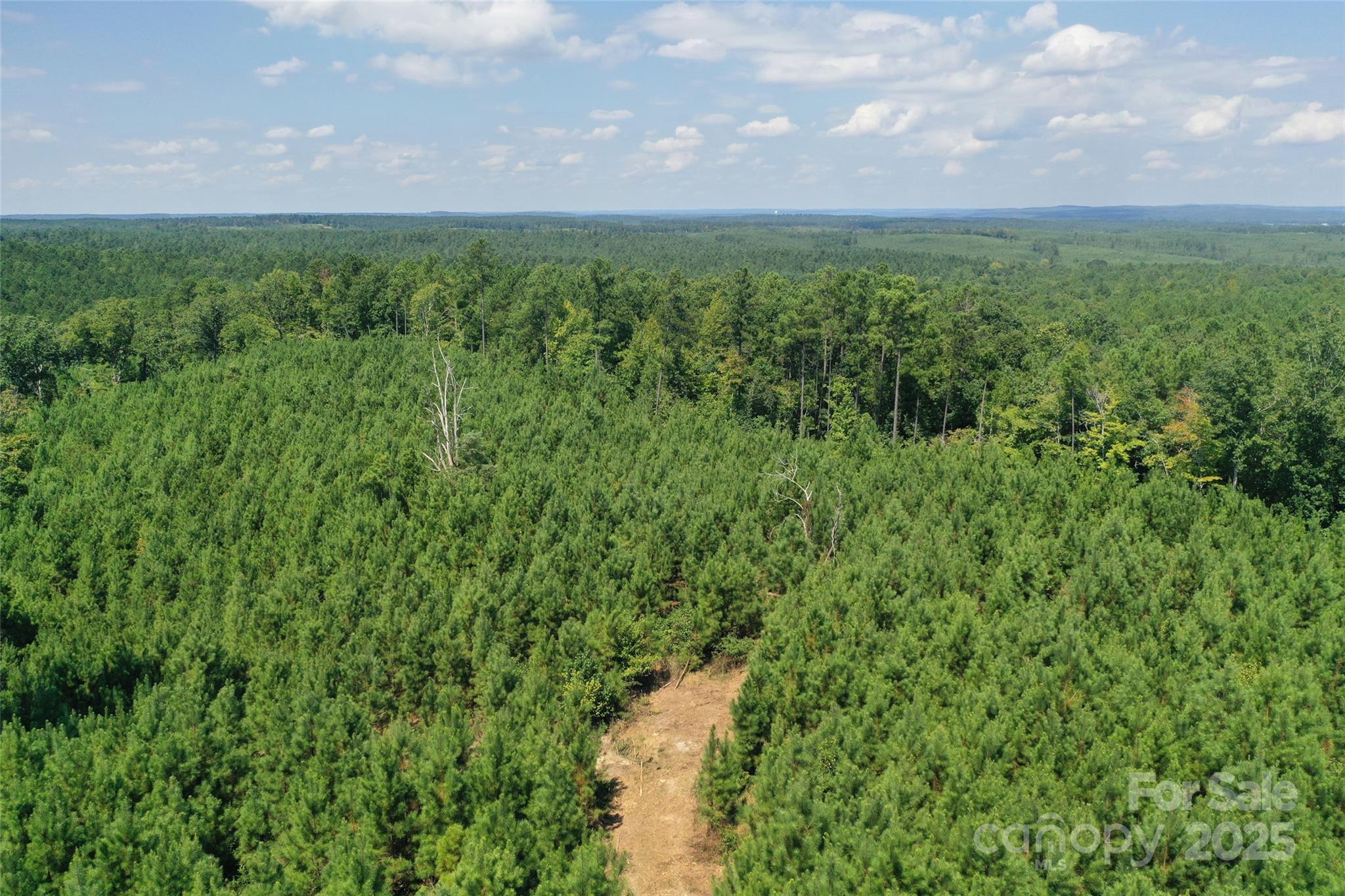 0 Old Windmill Road Ridgeway, SC 29130 - Photo 24 of 46