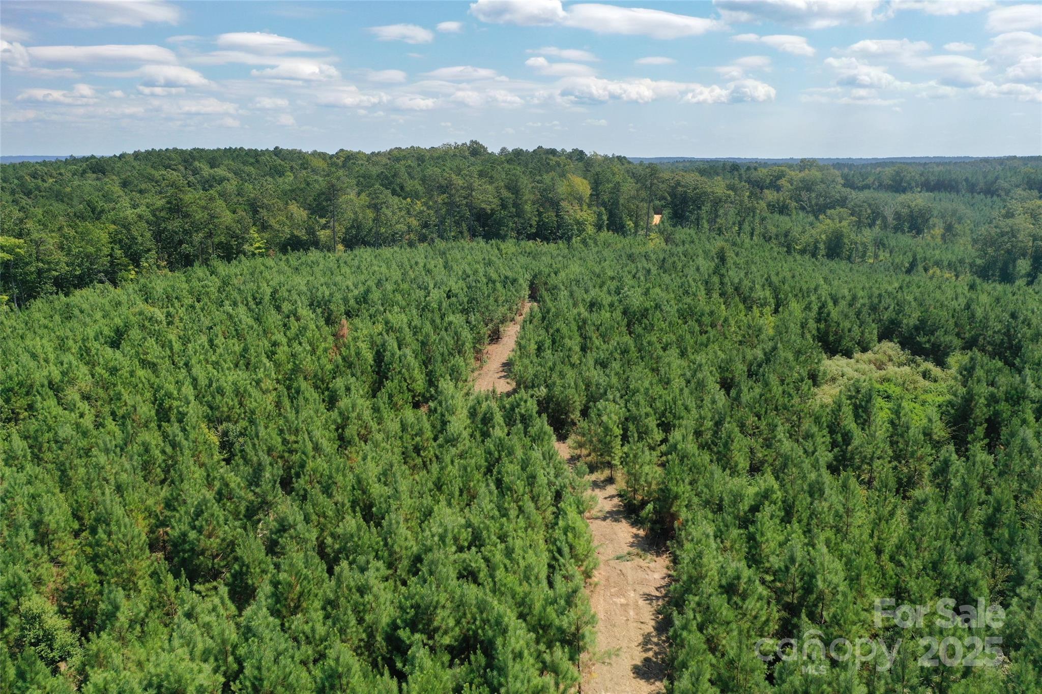 0 Old Windmill Road Ridgeway, SC 29130 - Photo 25 of 46