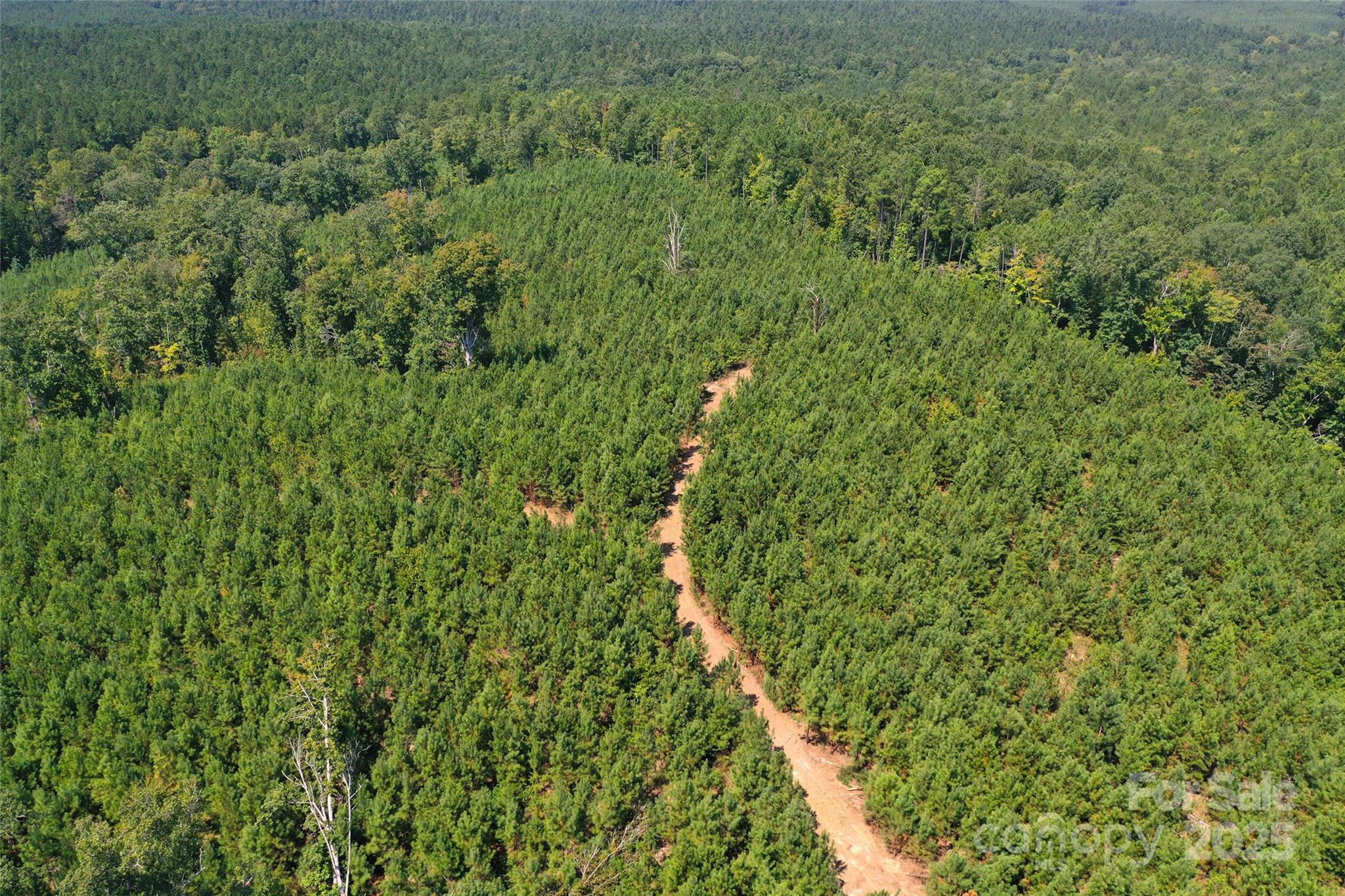 0 Old Windmill Road Ridgeway, SC 29130 - Photo 26 of 46