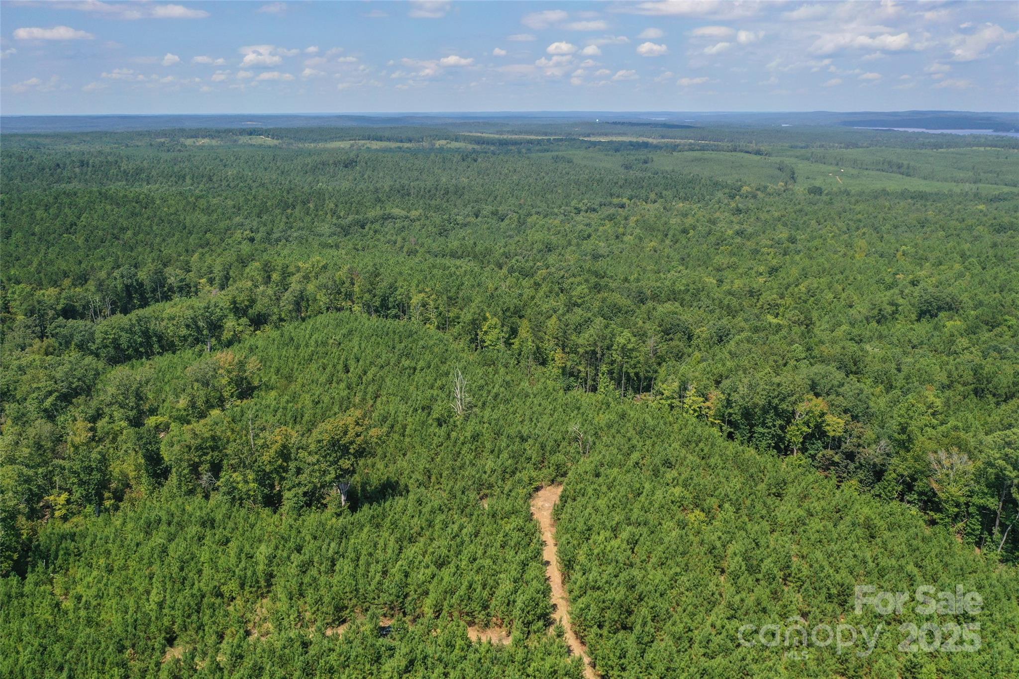 0 Old Windmill Road Ridgeway, SC 29130 - Photo 28 of 46