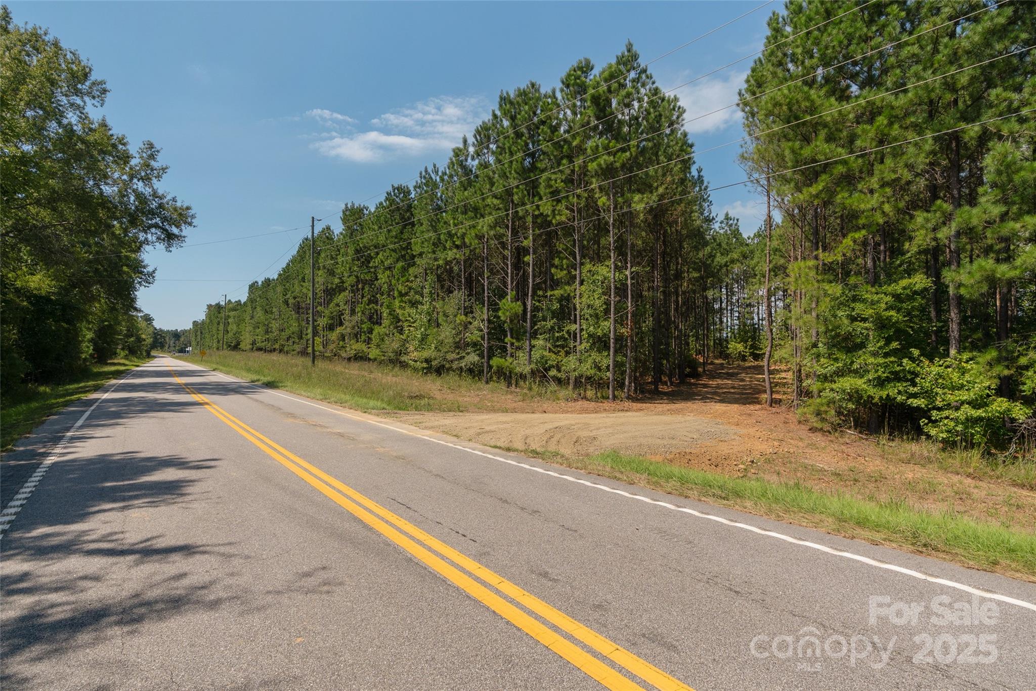 0 Old Windmill Road Ridgeway, SC 29130 - Photo 3 of 46