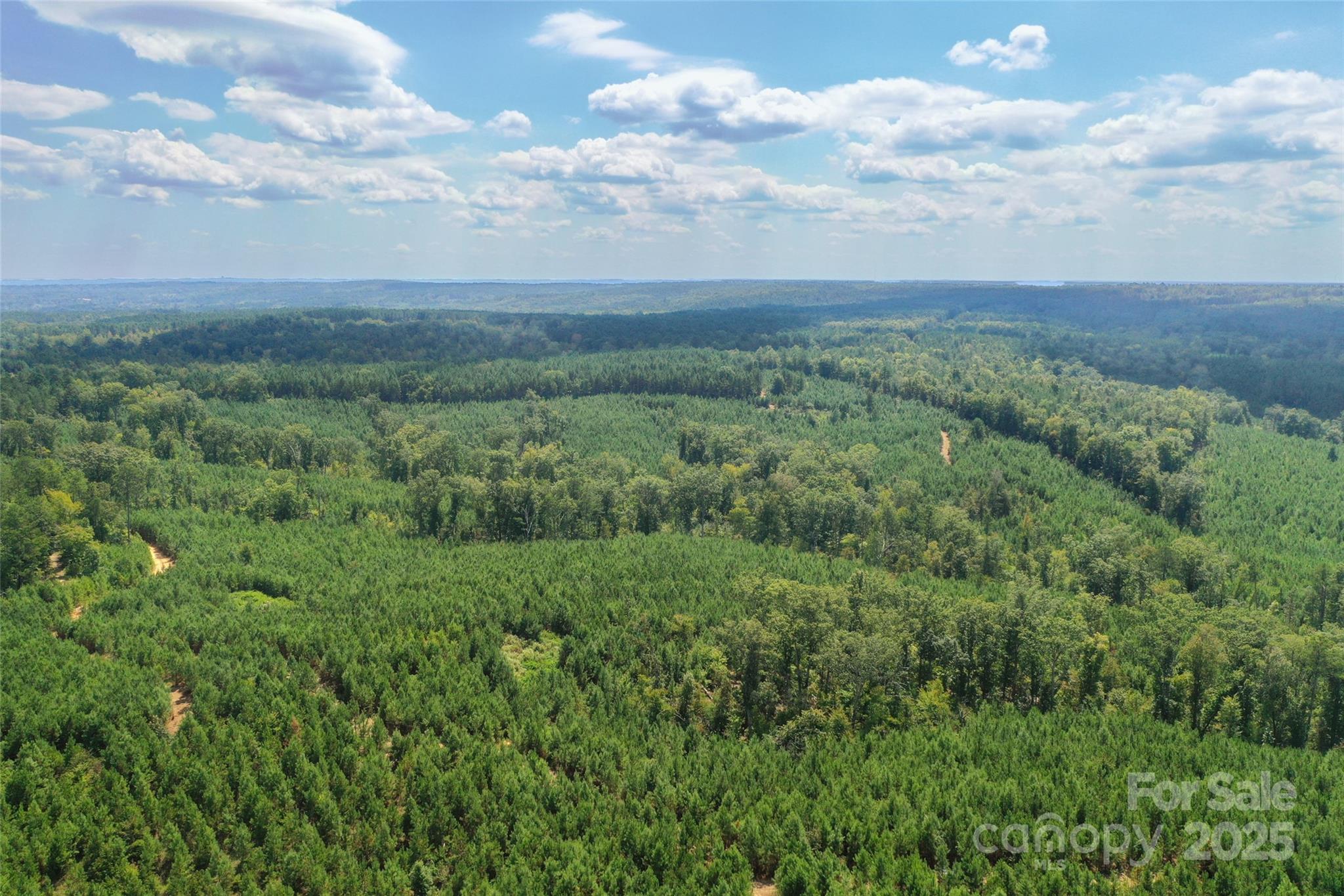 0 Old Windmill Road Ridgeway, SC 29130 - Photo 31 of 46