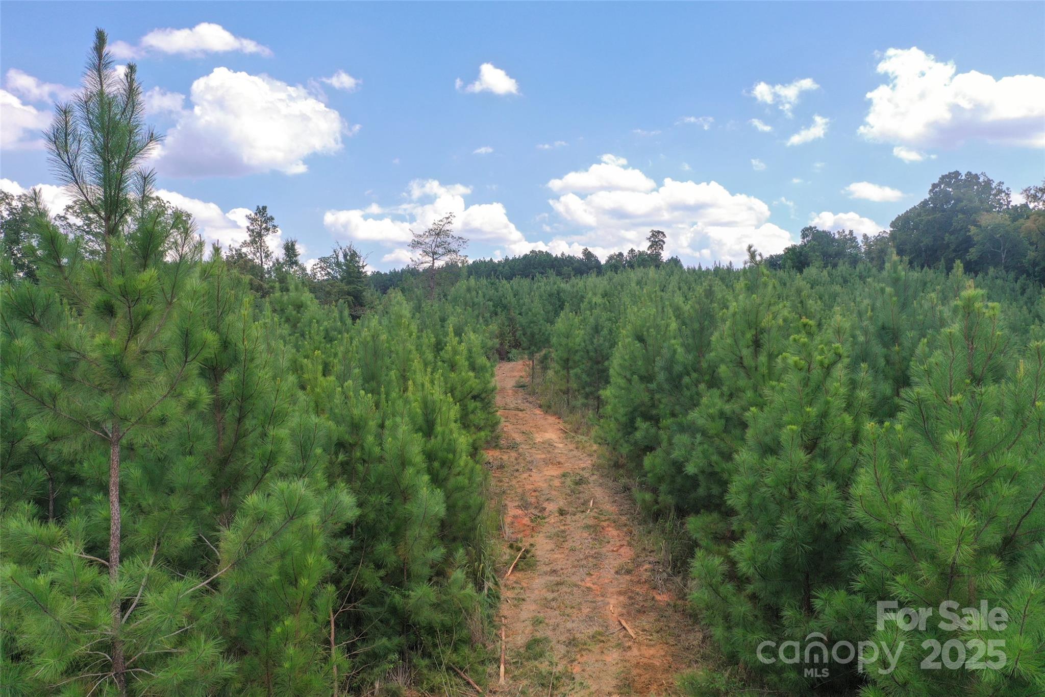 0 Old Windmill Road Ridgeway, SC 29130 - Photo 34 of 46