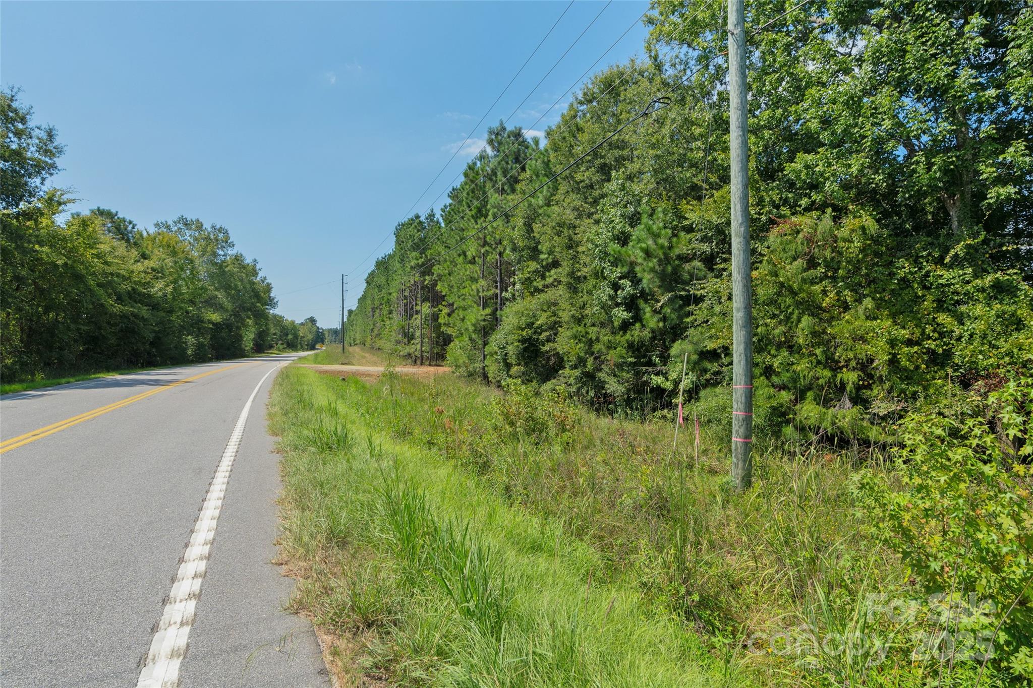 0 Old Windmill Road Ridgeway, SC 29130 - Photo 35 of 46