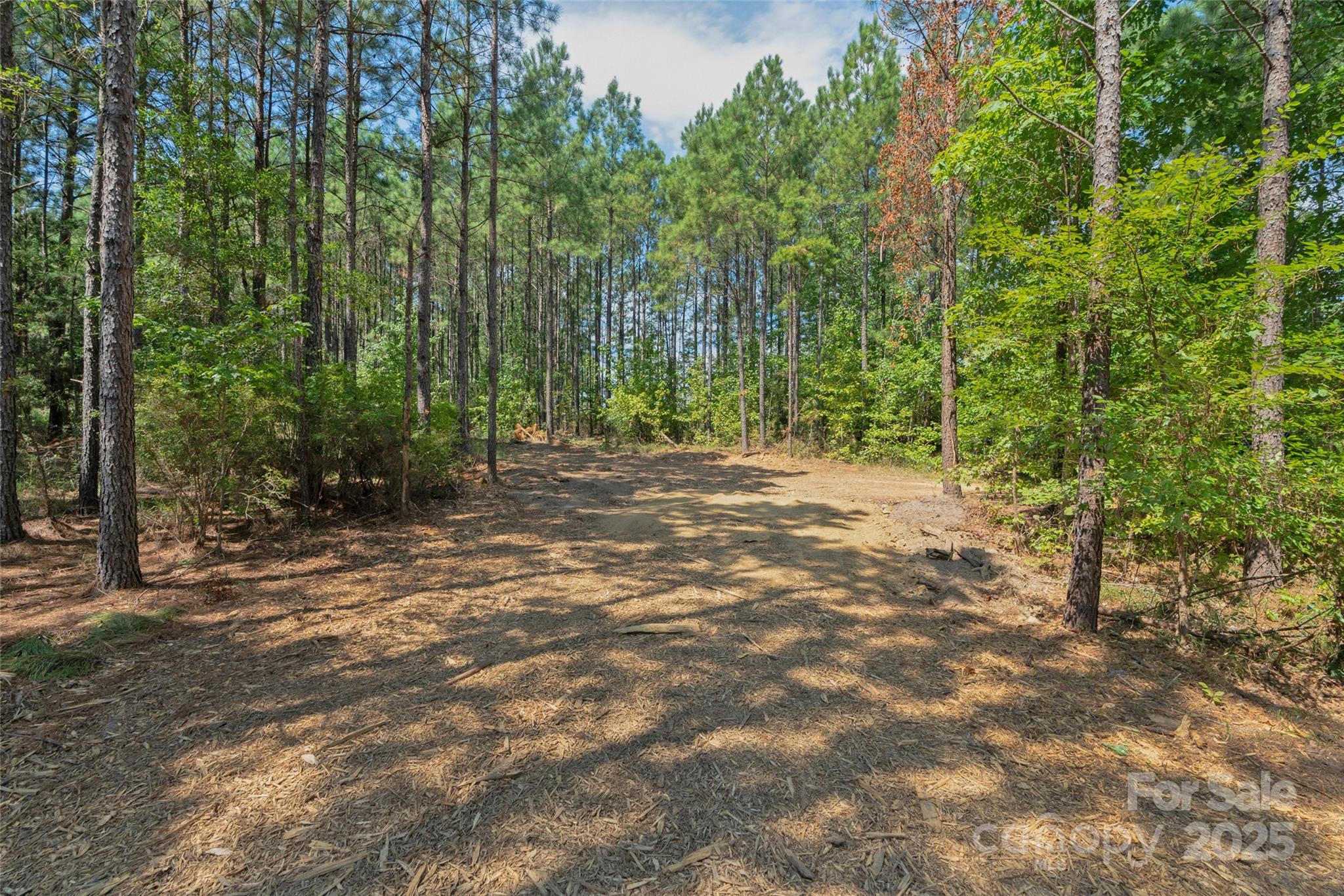 0 Old Windmill Road Ridgeway, SC 29130 - Photo 36 of 46